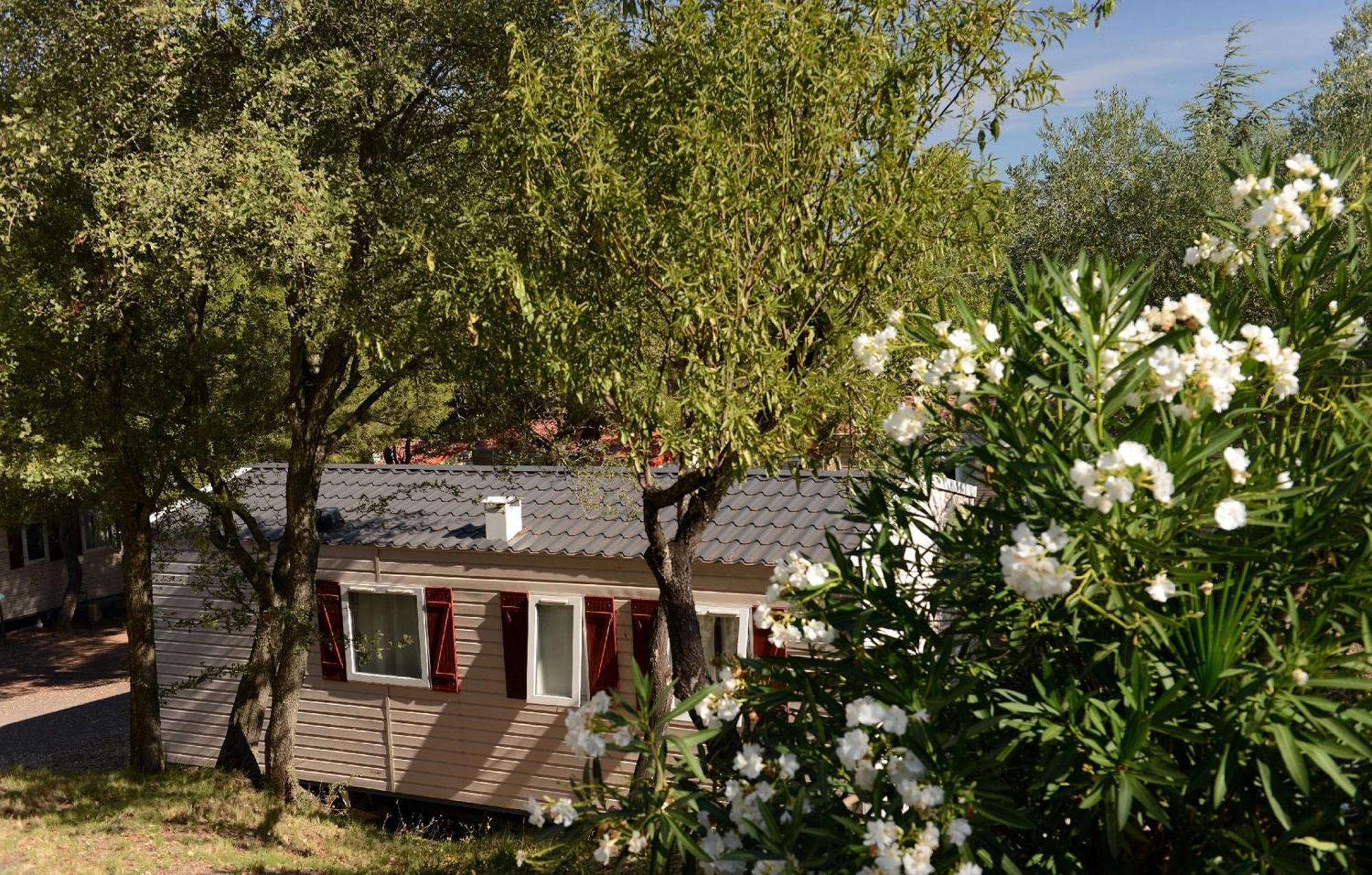 Domaine Residentiel De Plein Air Odalys La Pinede Agde Eksteriør billede
