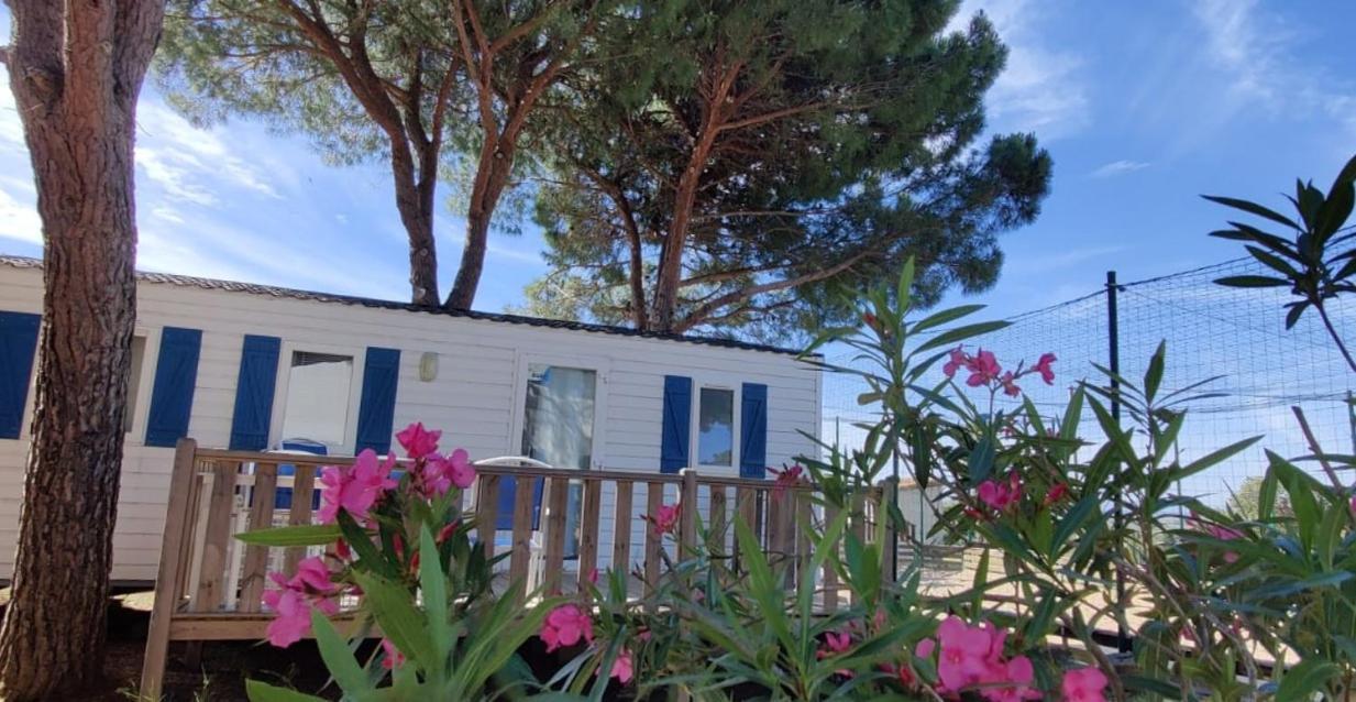 Domaine Residentiel De Plein Air Odalys La Pinede Agde Eksteriør billede