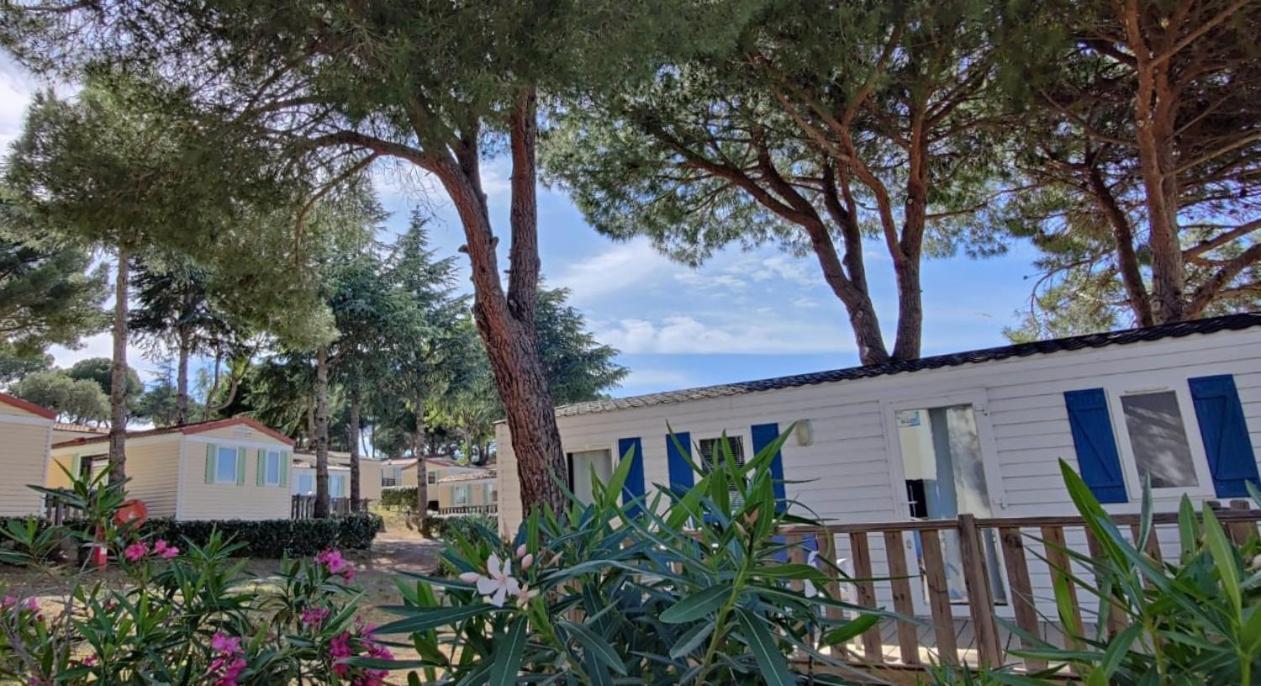 Domaine Residentiel De Plein Air Odalys La Pinede Agde Eksteriør billede