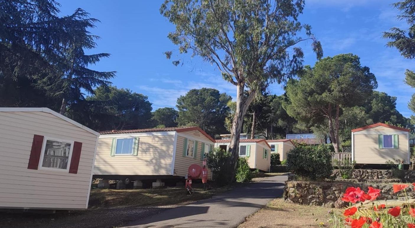 Domaine Residentiel De Plein Air Odalys La Pinede Agde Eksteriør billede