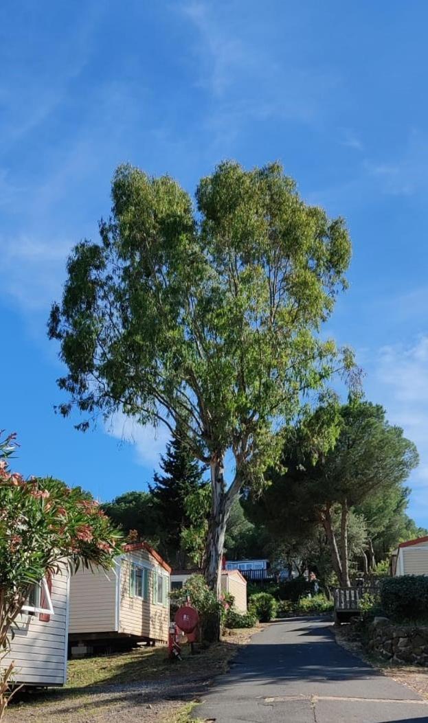 Domaine Residentiel De Plein Air Odalys La Pinede Agde Eksteriør billede