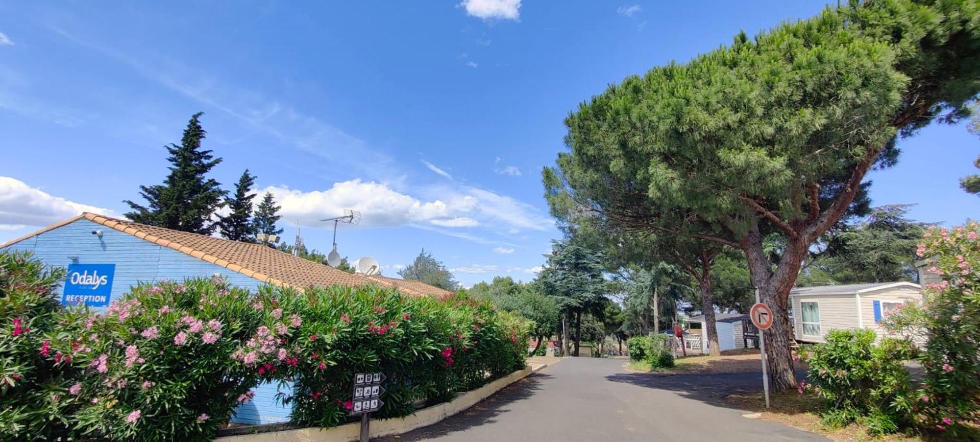 Domaine Residentiel De Plein Air Odalys La Pinede Agde Eksteriør billede